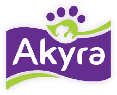 Demo logo