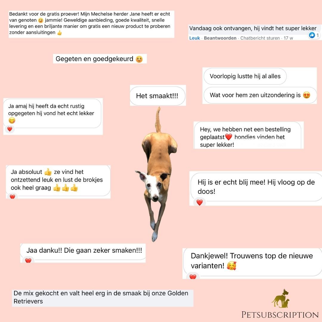 Odoo • Een foto met een geweldig onderschrift